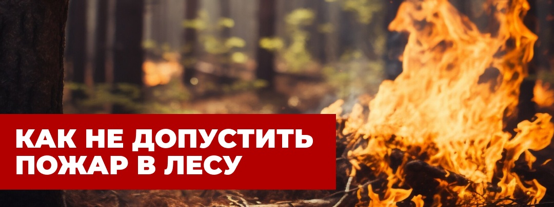Лесные пожары — это одно из наиболее опасных стихийных бедствий